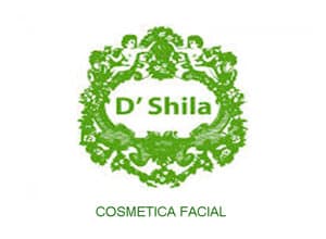 Logo D'Shila